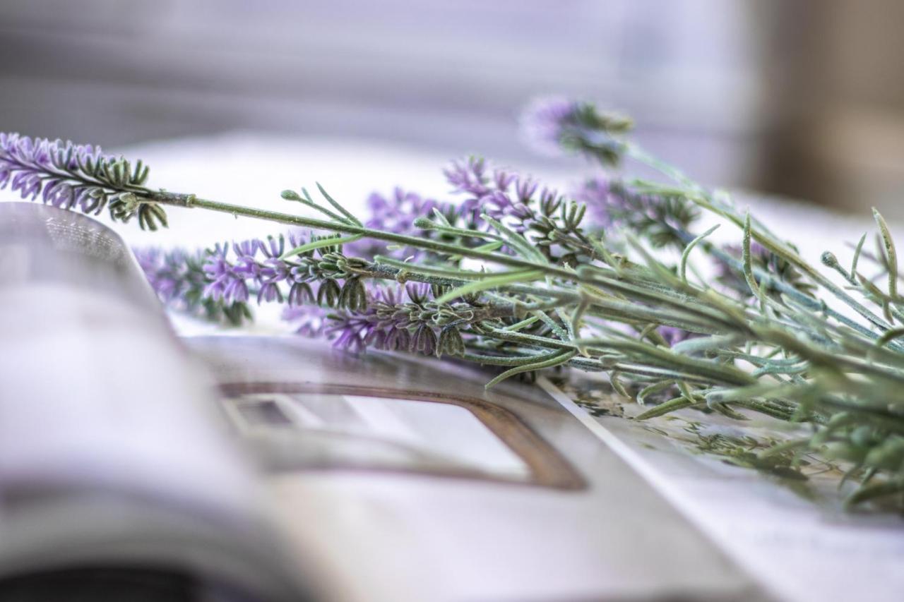 Garden Loft Bed & Breakfast Baricella Dış mekan fotoğraf