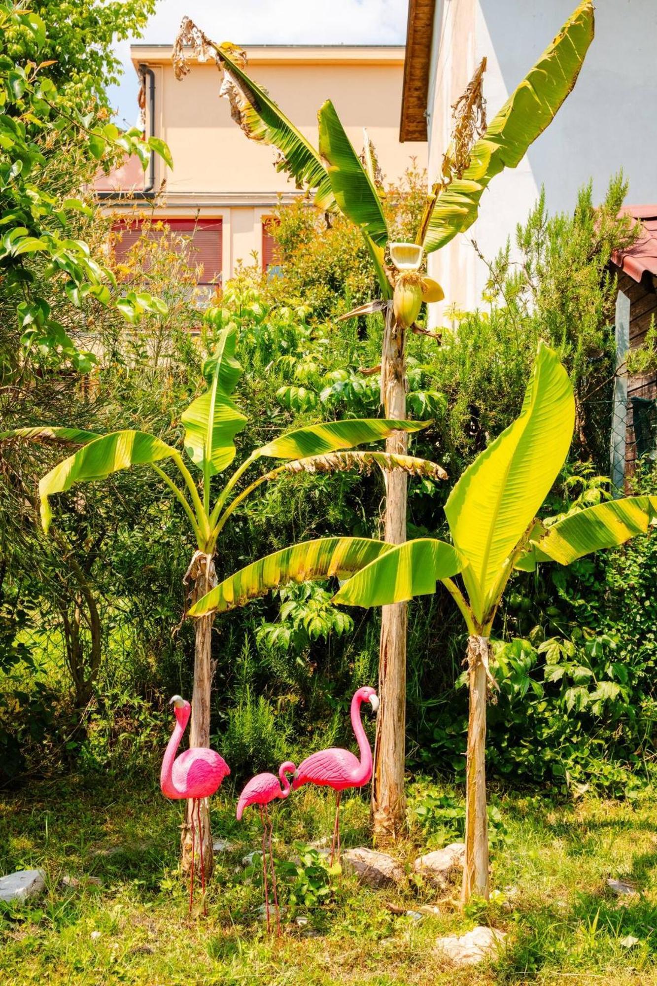 Garden Loft Bed & Breakfast Baricella Dış mekan fotoğraf